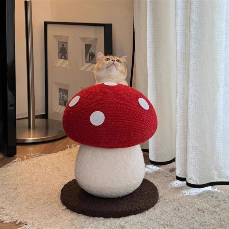 https://fulmo-img-server.com/party-cat/c49c2ce3-ee38-412f-80c6-d46a30d68502.jpg