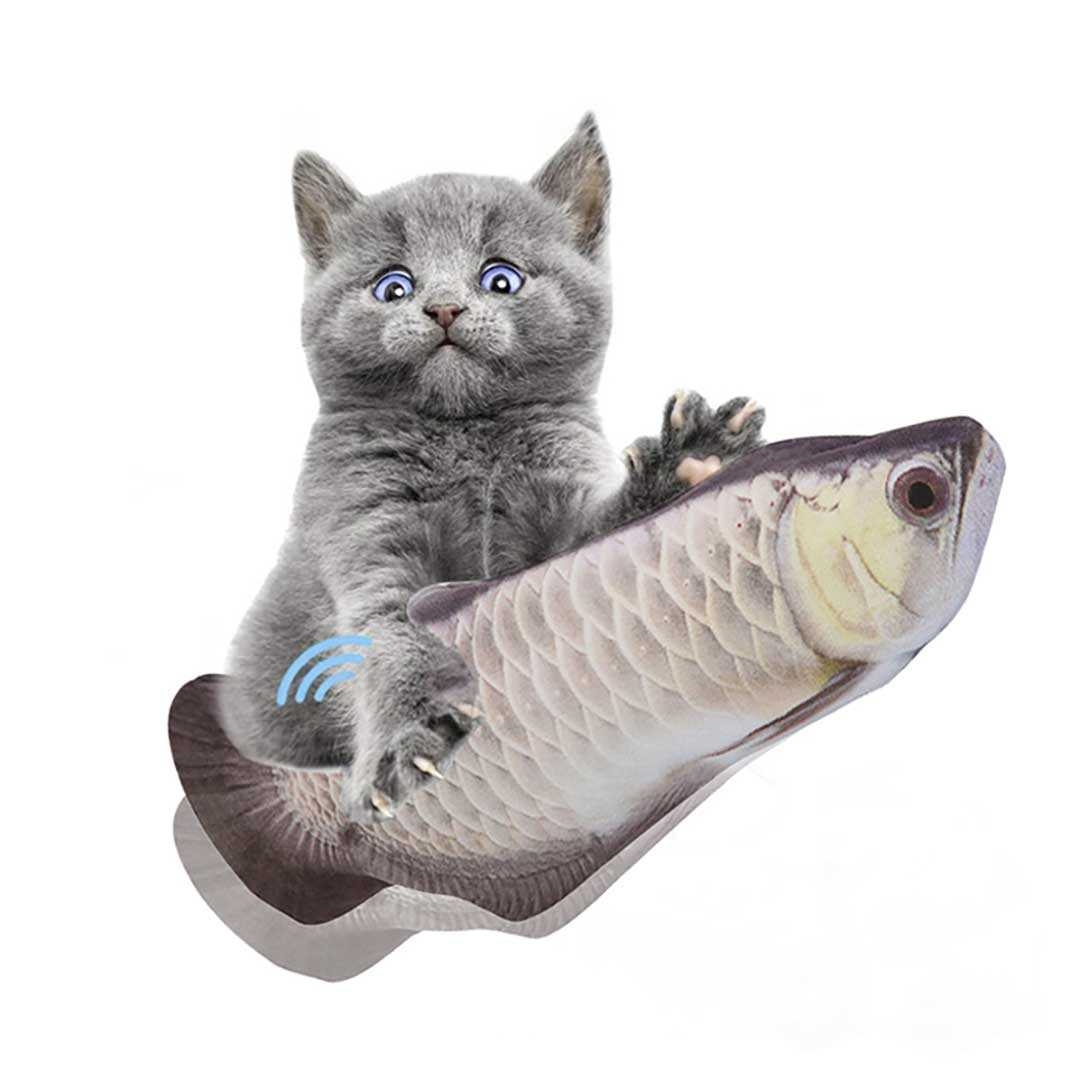 https://fulmo-img-server.com/party-cat/d29bc16b-3399-49ce-8da7-85cfa32813a2.jpg