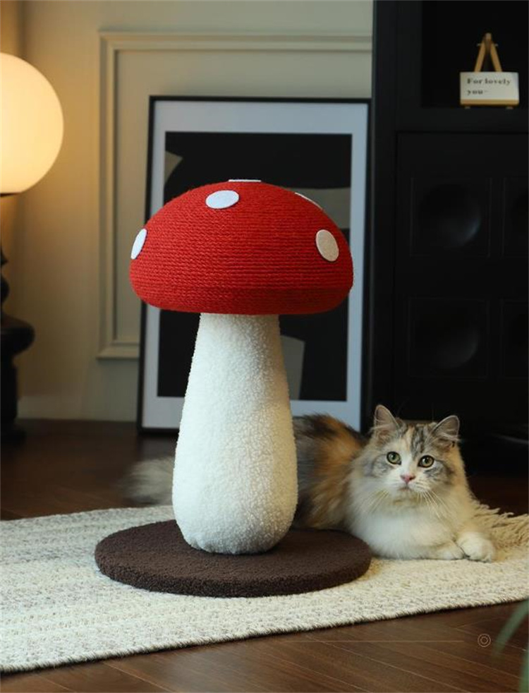 https://fulmo-img-server.com/party-cat/d5ab3027-2d39-4cdb-adea-d21725b8eabd.jpg