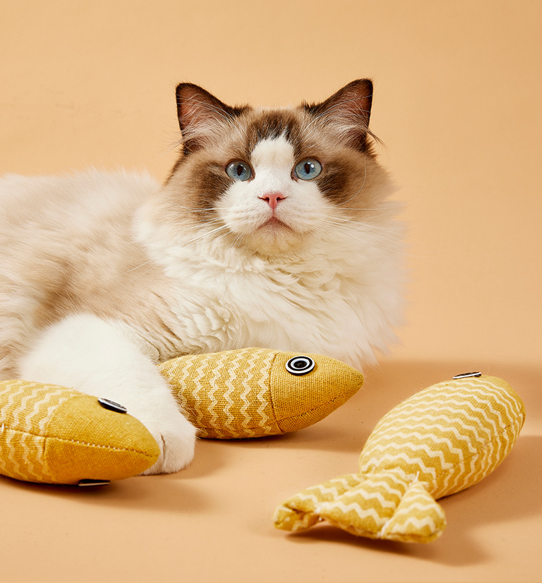 https://fulmo-img-server.com/party-cat/f2d04dd3-9691-4f68-8852-c5fd5de294e9.jpg