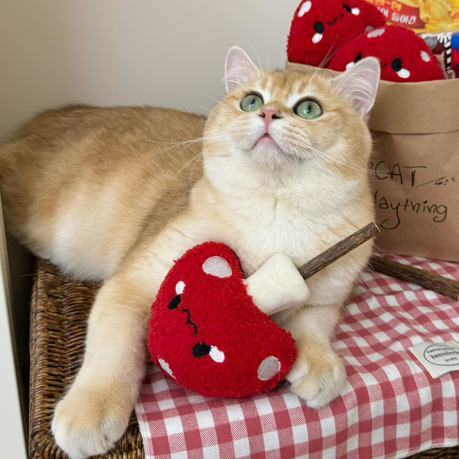 猫 おもちゃ ふわふわきのこのまたたびぬいぐるみ