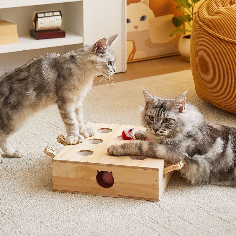 猫 おもちゃ 木製穴あきボックス狩猟本能刺激　知恵玩具