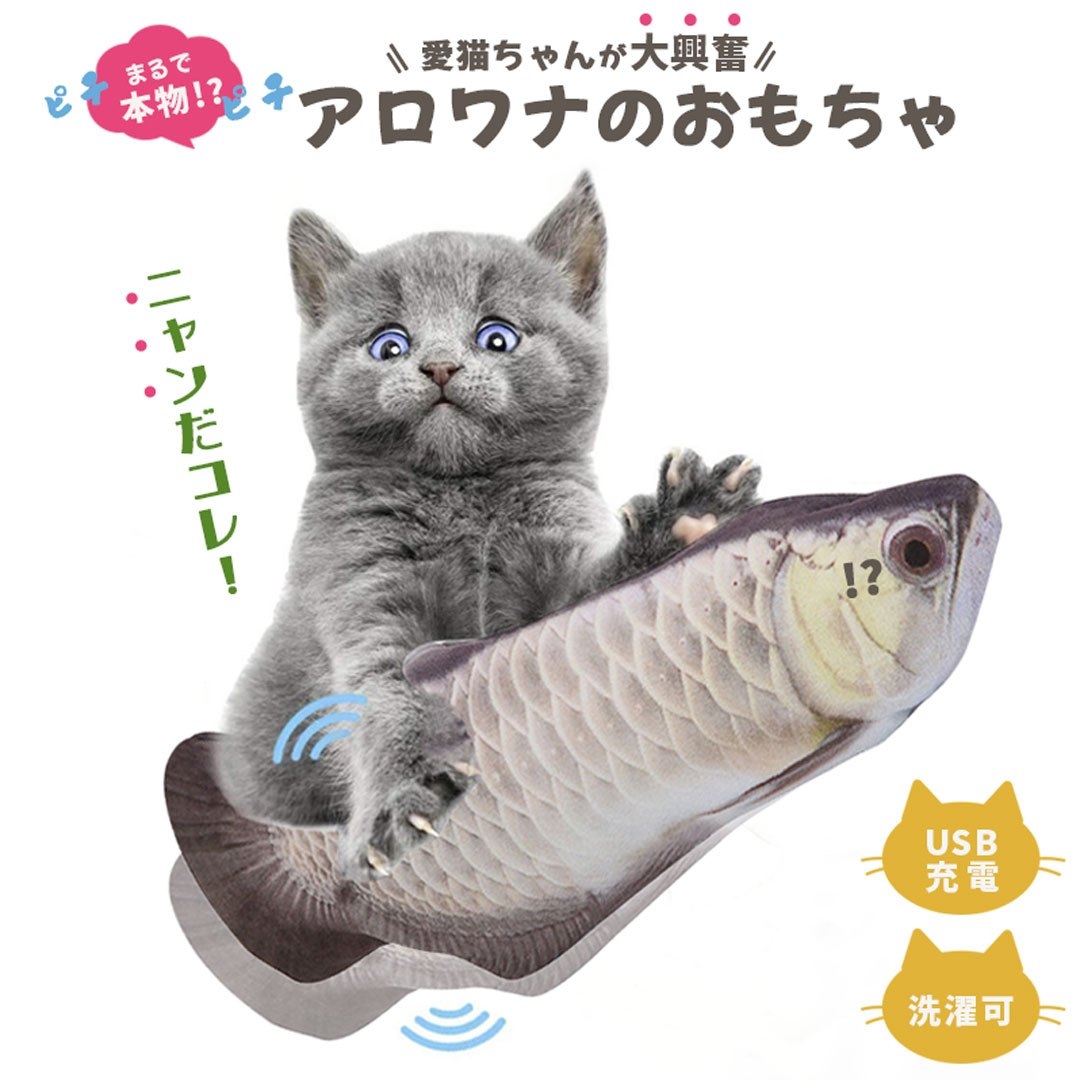 https://fulmo-img-server.com/party-cat/fb2c6bff-8032-4143-b357-3d4005964b7b.jpg