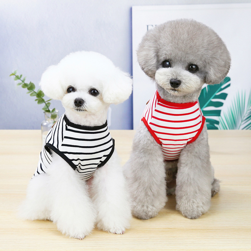 https://fulmo-img-server.com/perry-dog/00898367-5c60-47ca-93ff-2aeabe2f8ef6.jpg