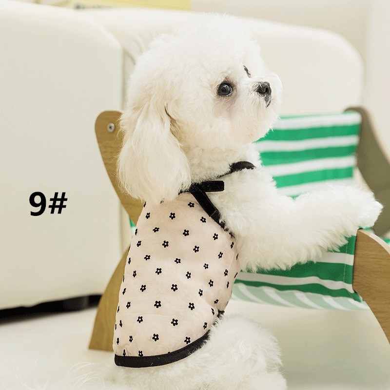 https://fulmo-img-server.com/perry-dog/009397a8-2af2-467c-a25a-2ceaa70b91e5.jpg