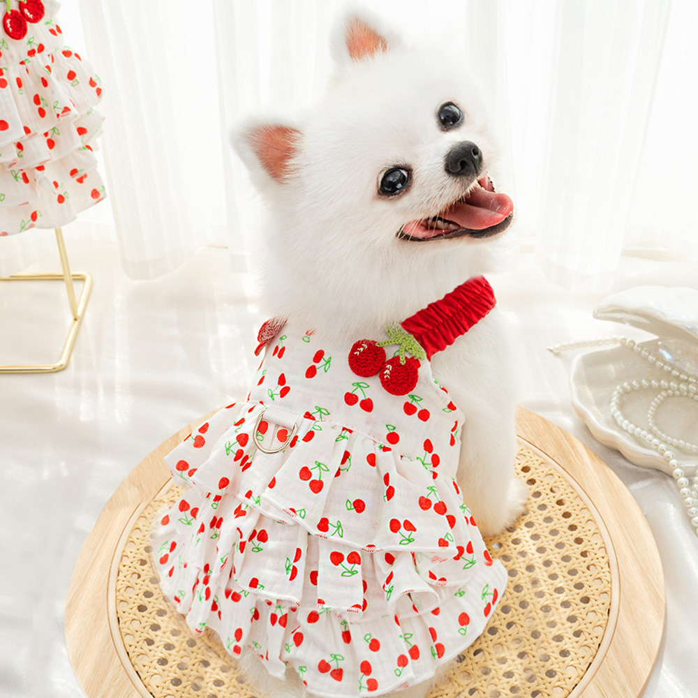 https://fulmo-img-server.com/perry-dog/00f3fecb-eabf-4acf-bcf9-77e1cbefdf92.jpg