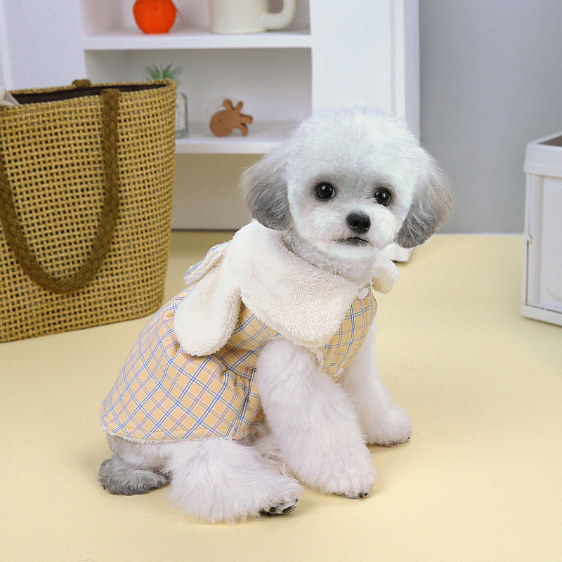 https://fulmo-img-server.com/perry-dog/00f8f6d8-3e9f-4731-84b4-b0e74a5580af.jpg