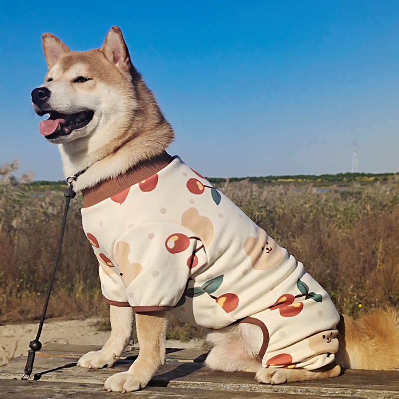 犬服 果物模様の四つ足カバータイプトレーナー