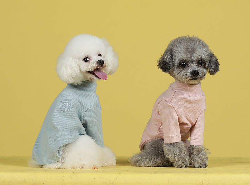 犬服 上品なハートワンポイント付き長袖ニット