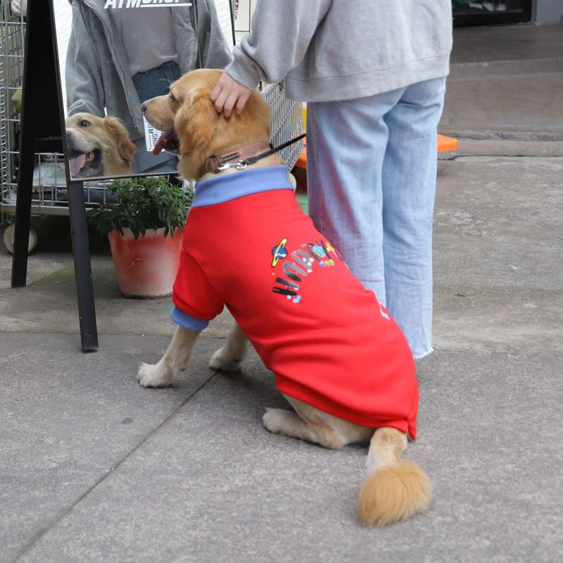 犬服  大型犬用ハッピーデー柄スポーツウェアTシャツ