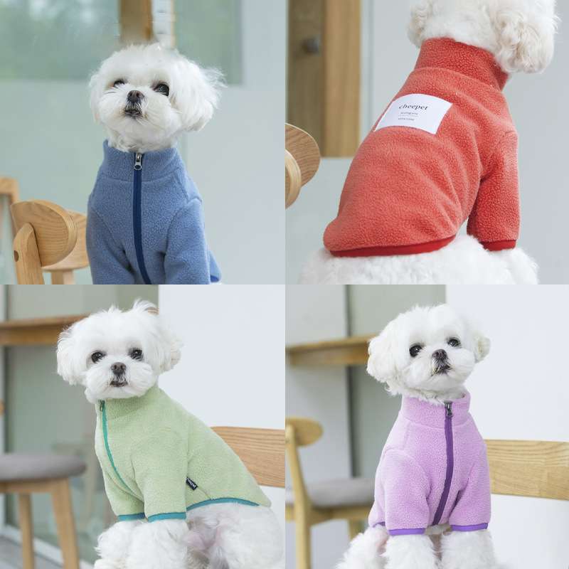 https://fulmo-img-server.com/perry-dog/015e10d0e98549a389a881cbc3de0066.jpg