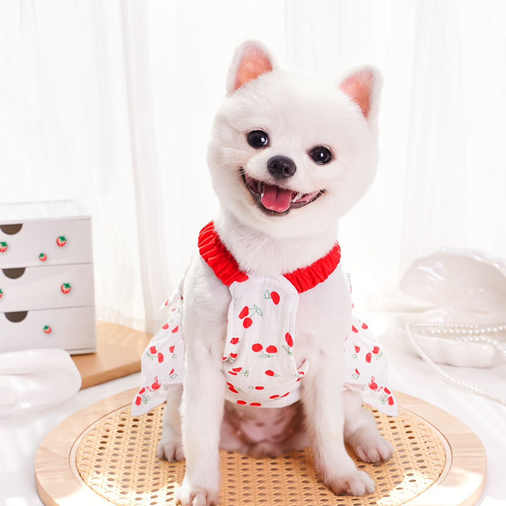 https://fulmo-img-server.com/perry-dog/016ef81b-2669-480c-b2c5-579a038845ce.jpg