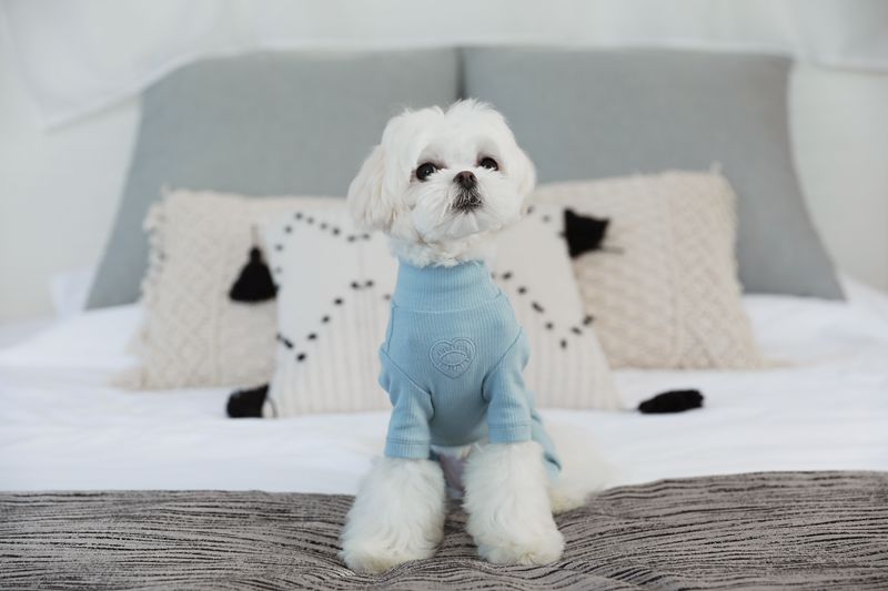 犬服 四肢まで暖か全身タートルネックつなぎニット