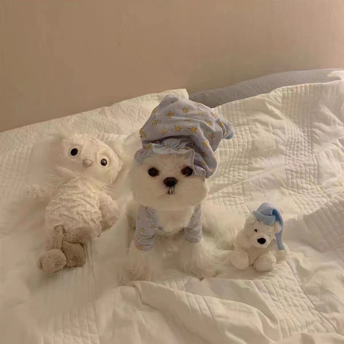 犬服 おやすみ星空おねむパジャマセット