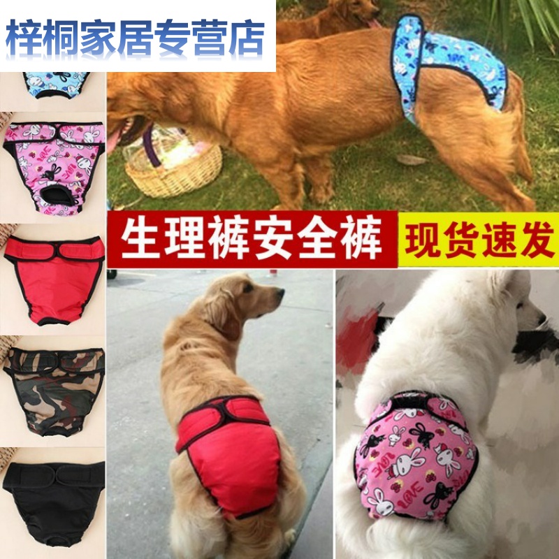https://fulmo-img-server.com/perry-dog/0240d79a-b78e-4f62-96d4-9b4890c5050b.jpg