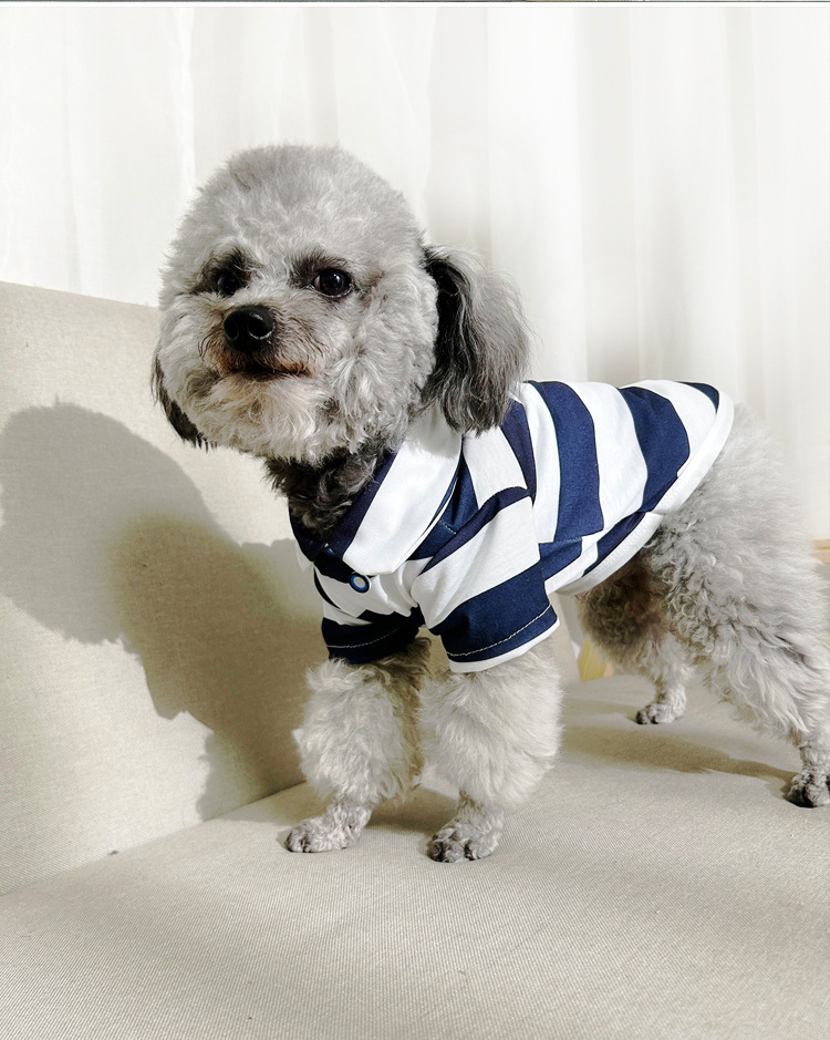 https://fulmo-img-server.com/perry-dog/027be62c-f1b3-4e70-b7b0-be07c1d564cd.jpg