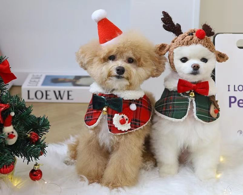 聖夜の格子柄ケープ風犬服セット