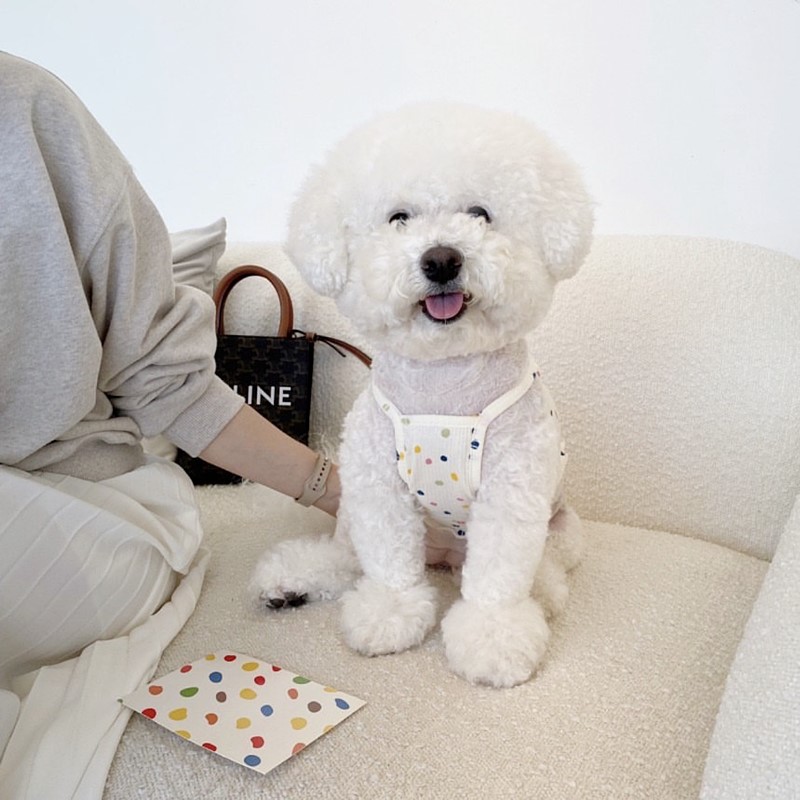 犬服 カラフル水玉もよう ワッフル素材Tシャツ