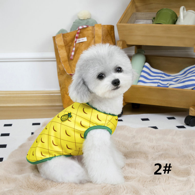 https://fulmo-img-server.com/perry-dog/038fa740-3050-4658-aa1b-50dcc215f2ed.jpg