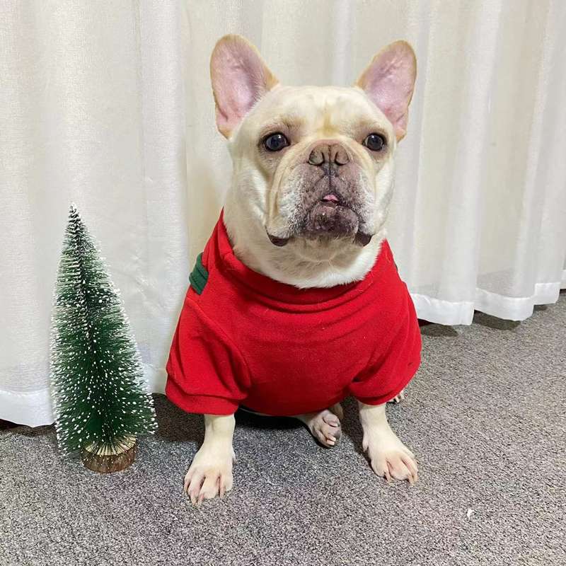 https://fulmo-img-server.com/perry-dog/03ccbb7615d6416bb831ccc1f2bd664f.jpg
