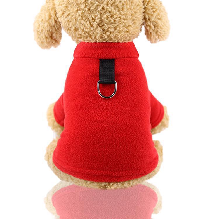 https://fulmo-img-server.com/perry-dog/0401cc8a-a1c8-405e-9c87-f19921d40a6a.jpg