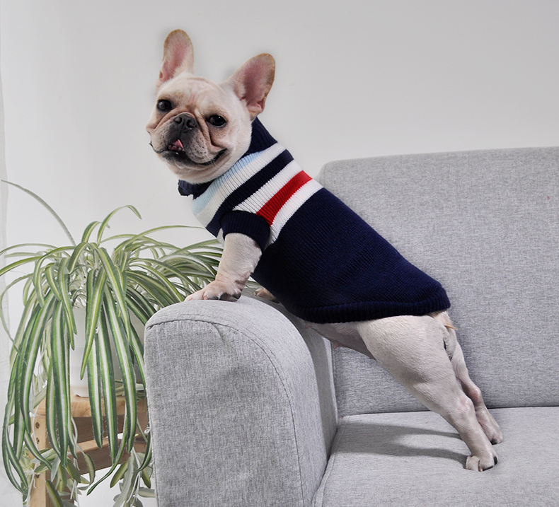 犬服 小型犬用タートルネックニットセーター