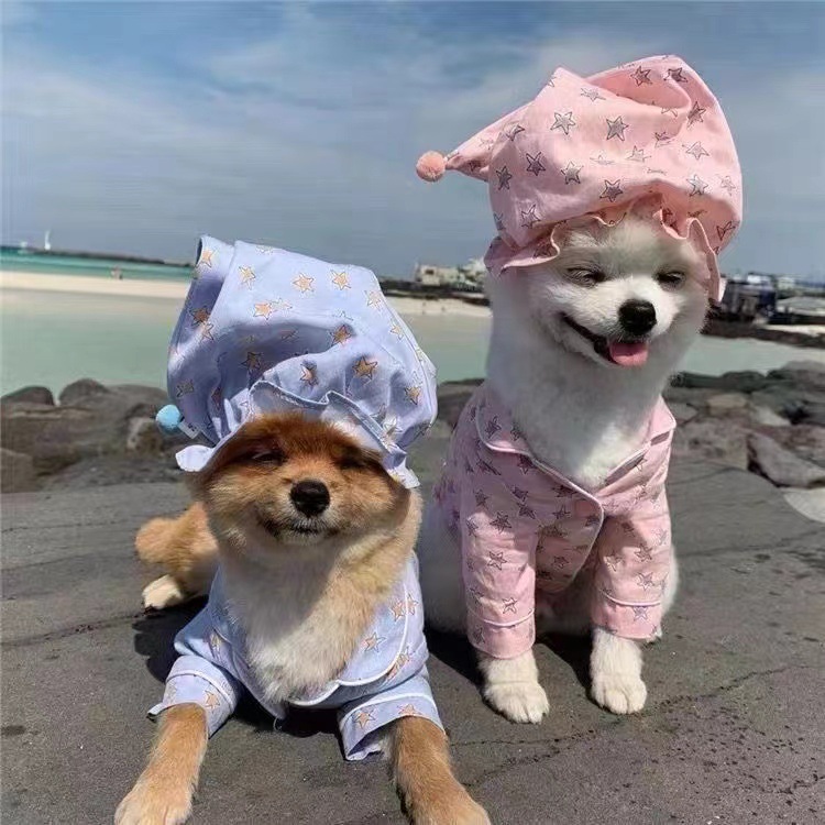 https://fulmo-img-server.com/perry-dog/04bc3813-b138-49be-9cab-d8bfdc2afe87.jpg