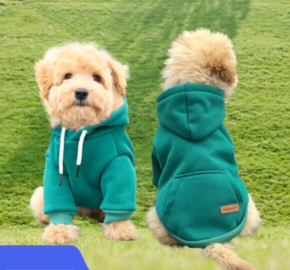 犬服 小型犬用フード付きトレーナー 緑色