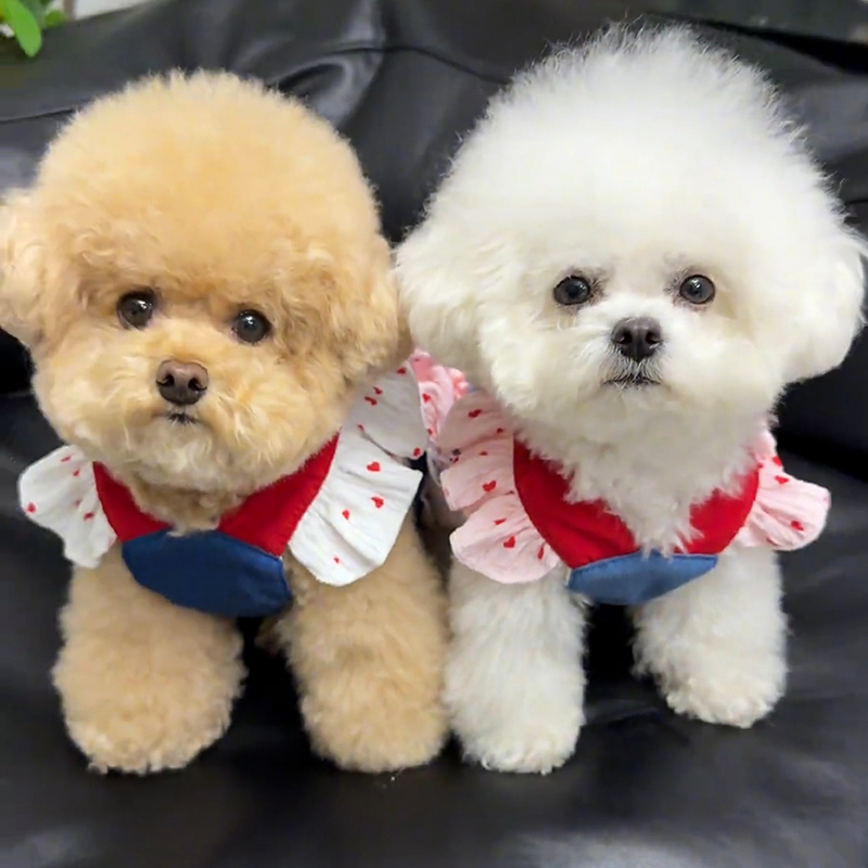 犬服 フリル襟お嬢様ワンピース