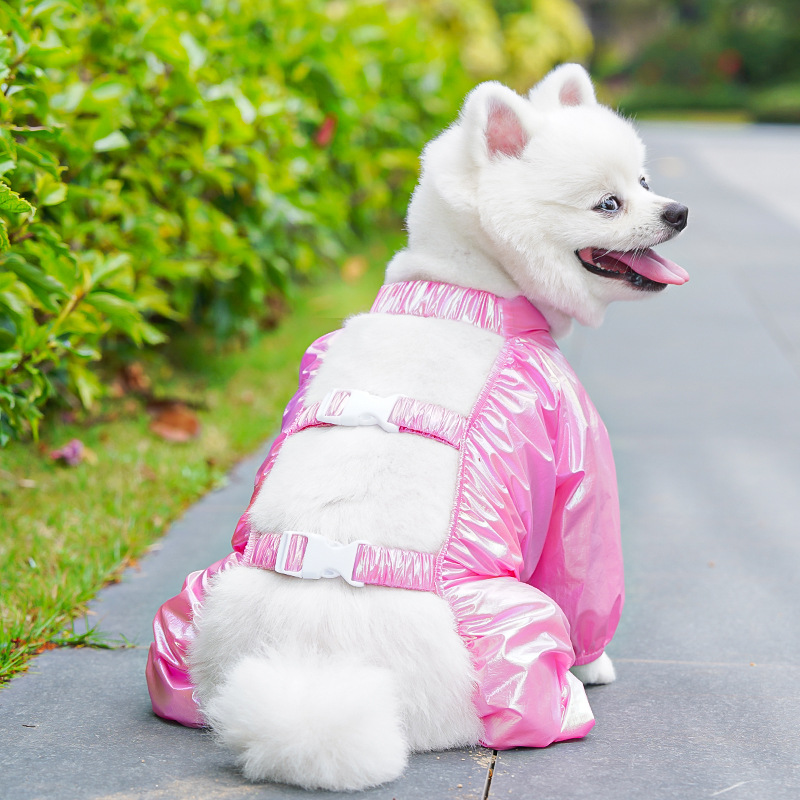 https://fulmo-img-server.com/perry-dog/05abf987-c12d-4ecc-9c3e-489f94ac7c0c.jpg