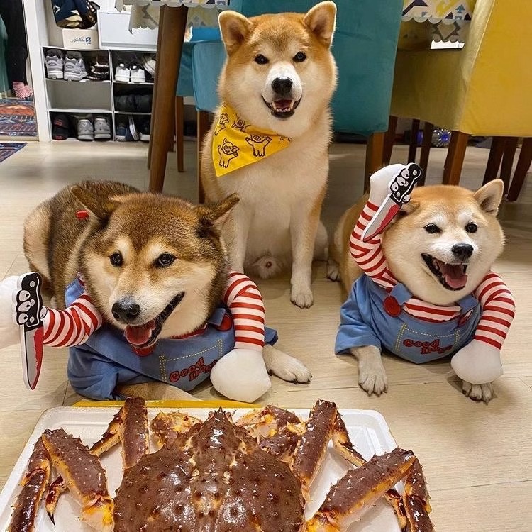 犬服 おもしろキャラクターつなぎ