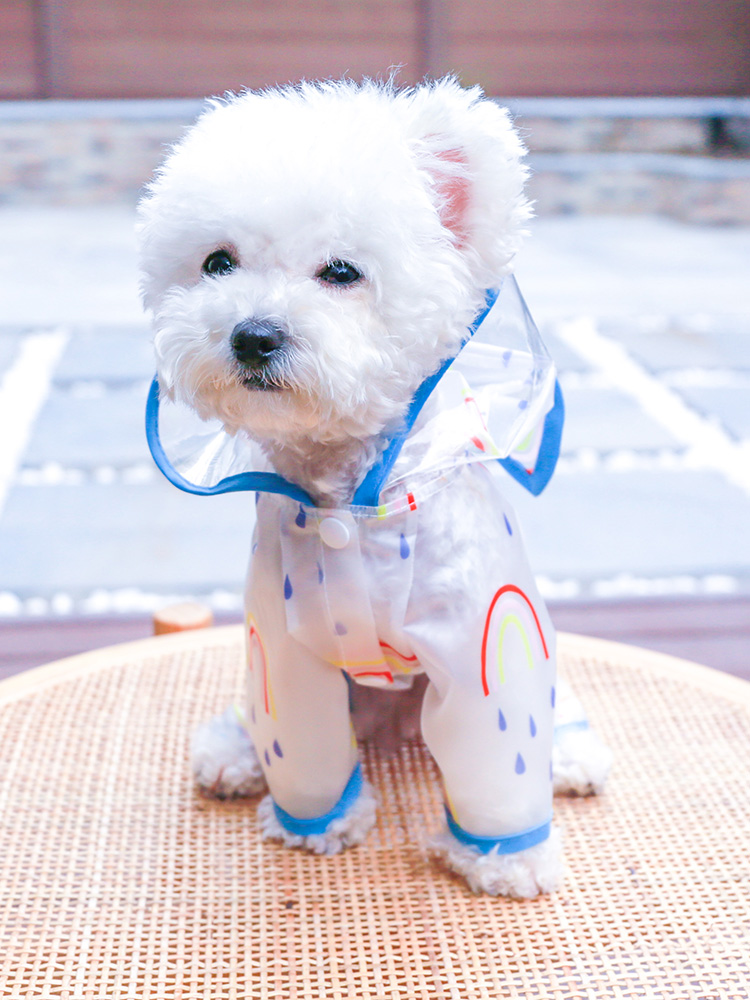 犬服 にじいろうさぎ耳レインコート