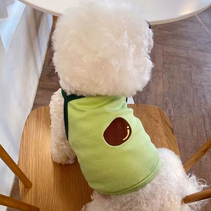 https://fulmo-img-server.com/perry-dog/0865c4b6-c1cf-4d94-964a-446472eeaa3a.jpg