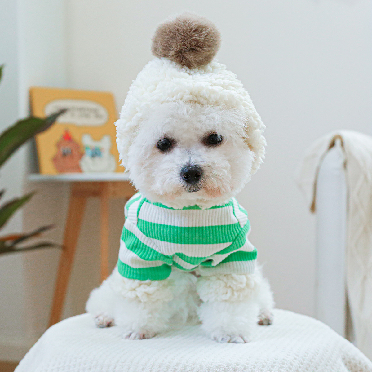 https://fulmo-img-server.com/perry-dog/08f65b66-6381-4168-85f8-569f23d94803.jpg