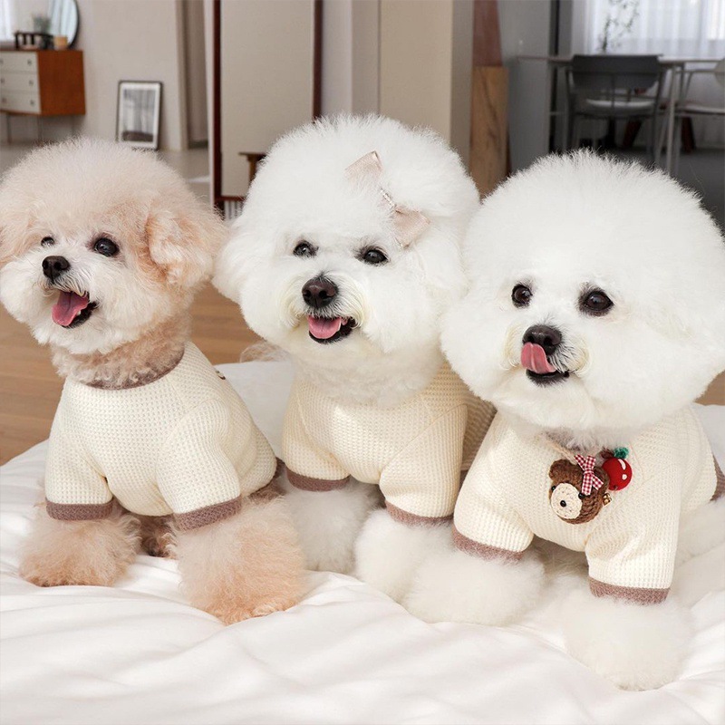 https://fulmo-img-server.com/perry-dog/095afe2f-ac3e-4bfb-be02-f44a9a50429b.jpg