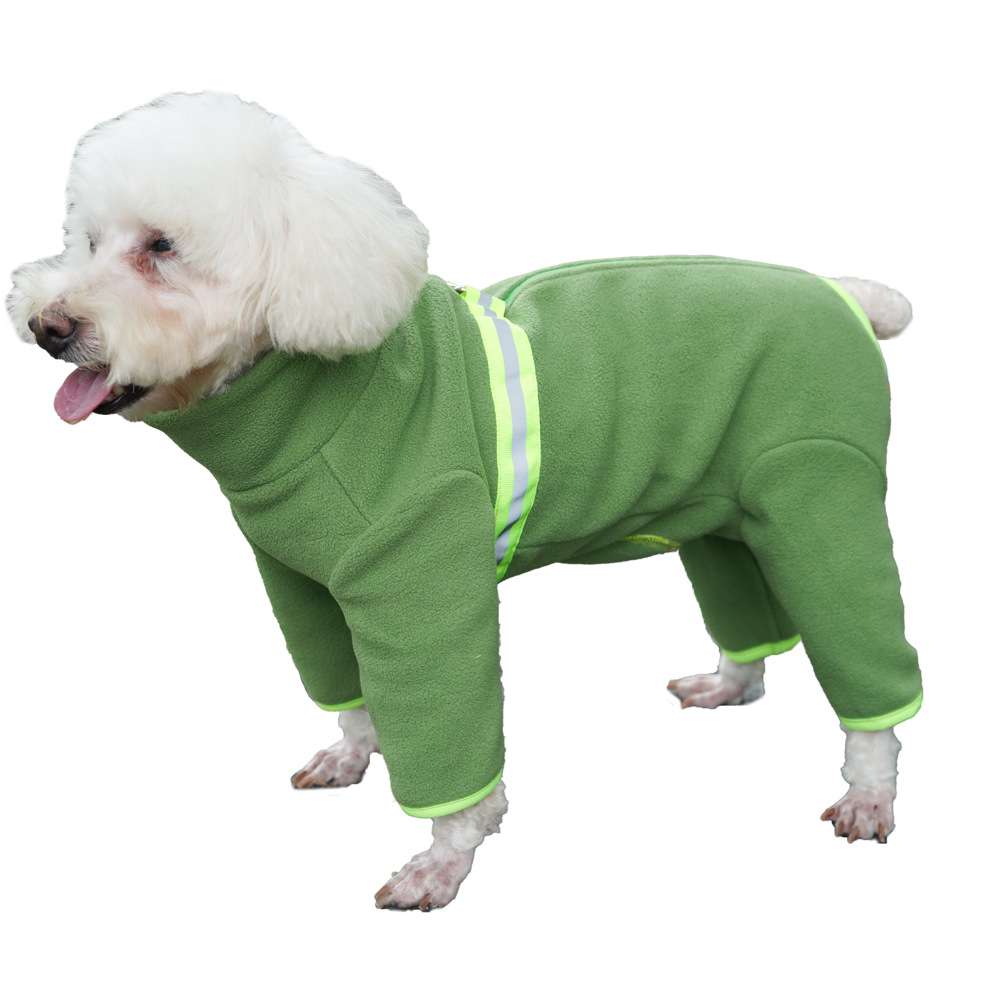 https://fulmo-img-server.com/perry-dog/0bbcb3cbf3574c128f8ee73e66231437.jpg