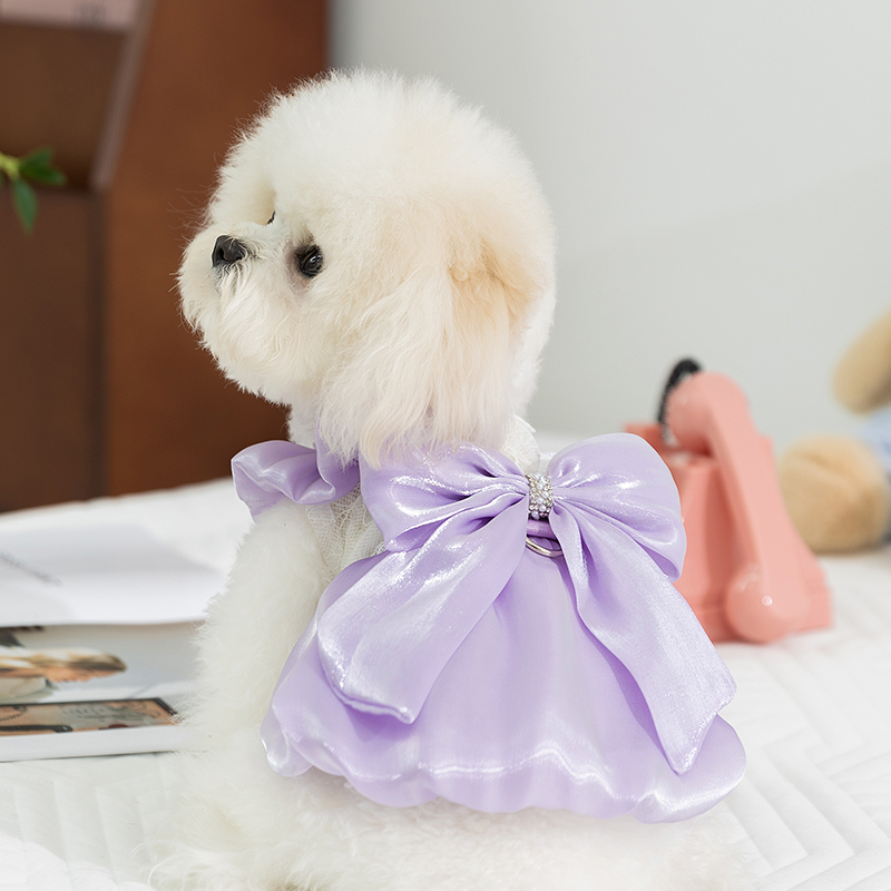 犬服 姫リボンパーティードレス