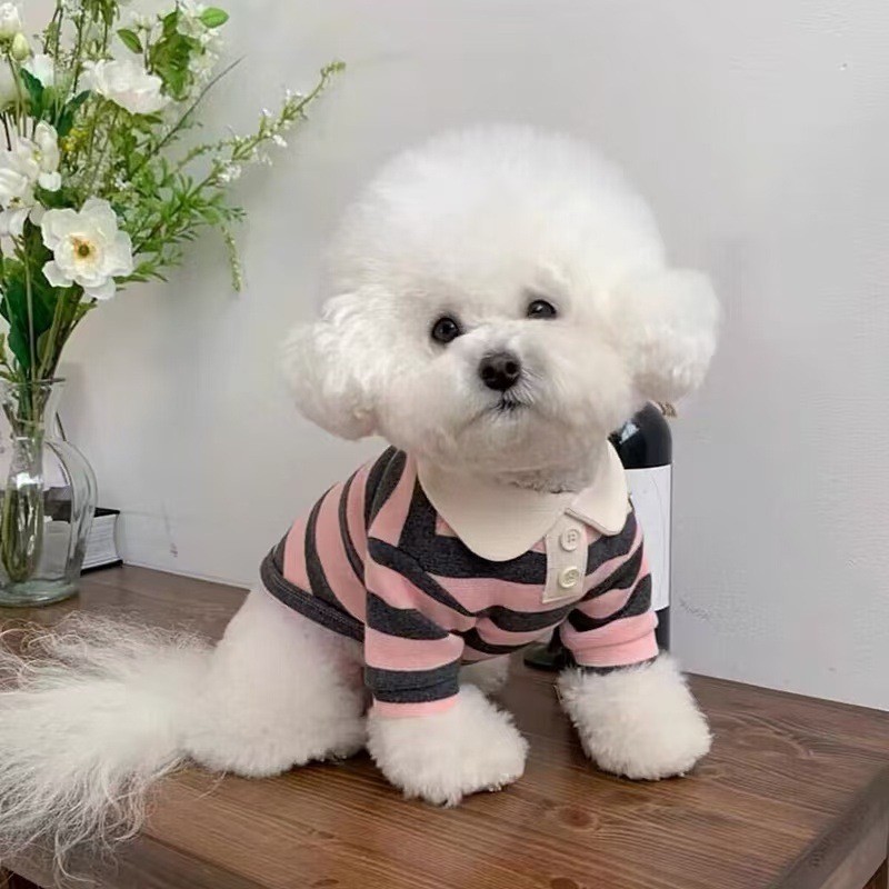 https://fulmo-img-server.com/perry-dog/0c4b84af-4769-4dac-934c-98c20b3749e4.jpg