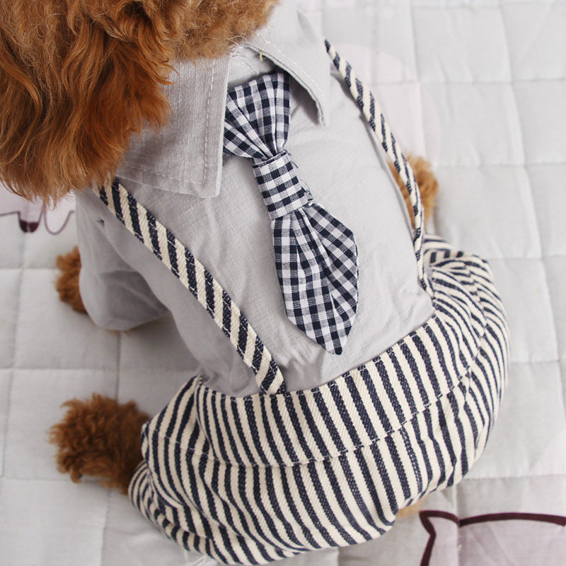 犬服 襟付きネクタイ風吊りズボン付きワンピース