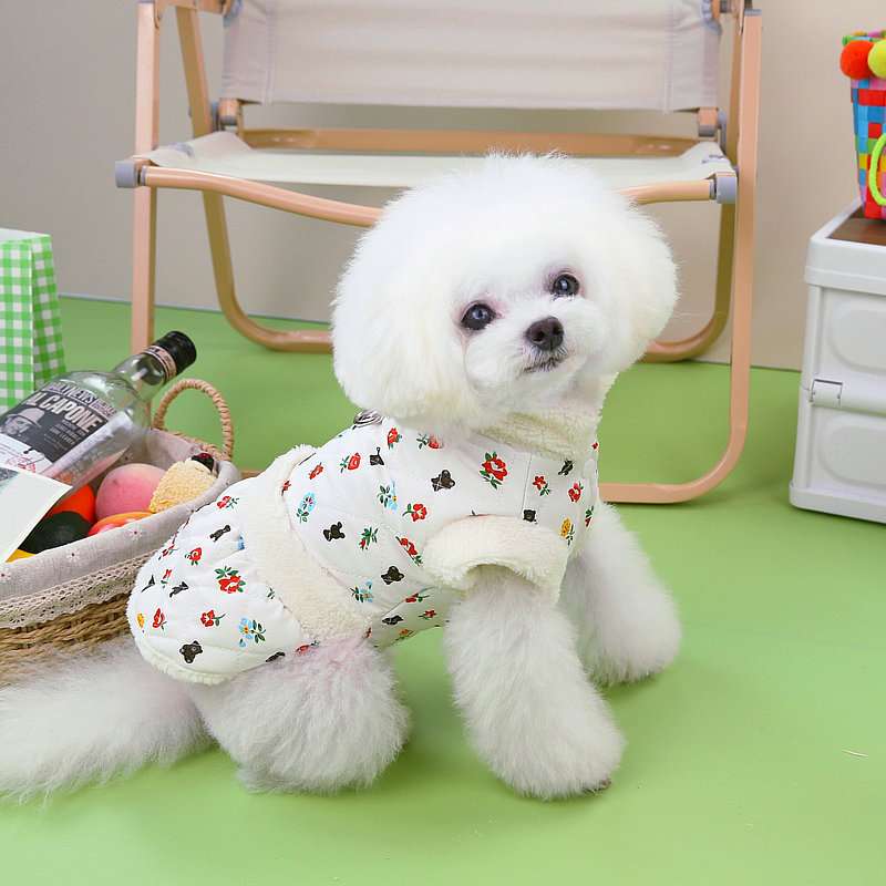 https://fulmo-img-server.com/perry-dog/0ca30315512c4635bd24def36a871c64.jpg