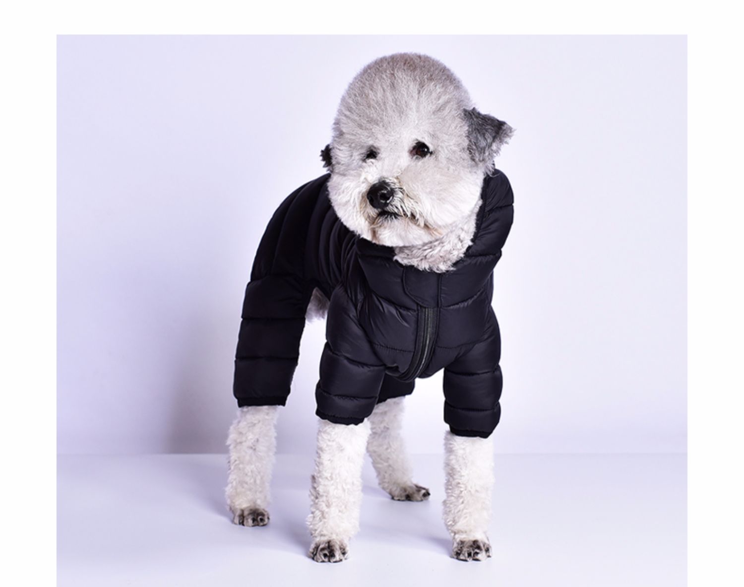 犬服 中型犬用四脚つなぎ中綿キルティング防寒着