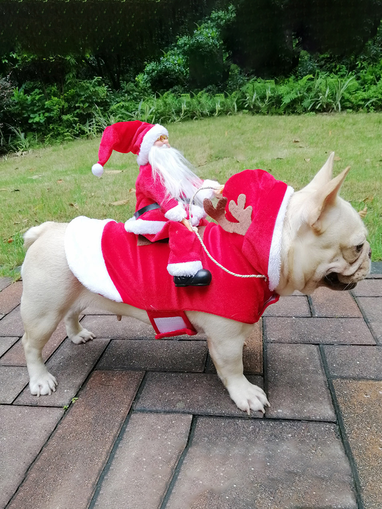 犬服 聖夜の贈り物運び聖誕老人変身犬服