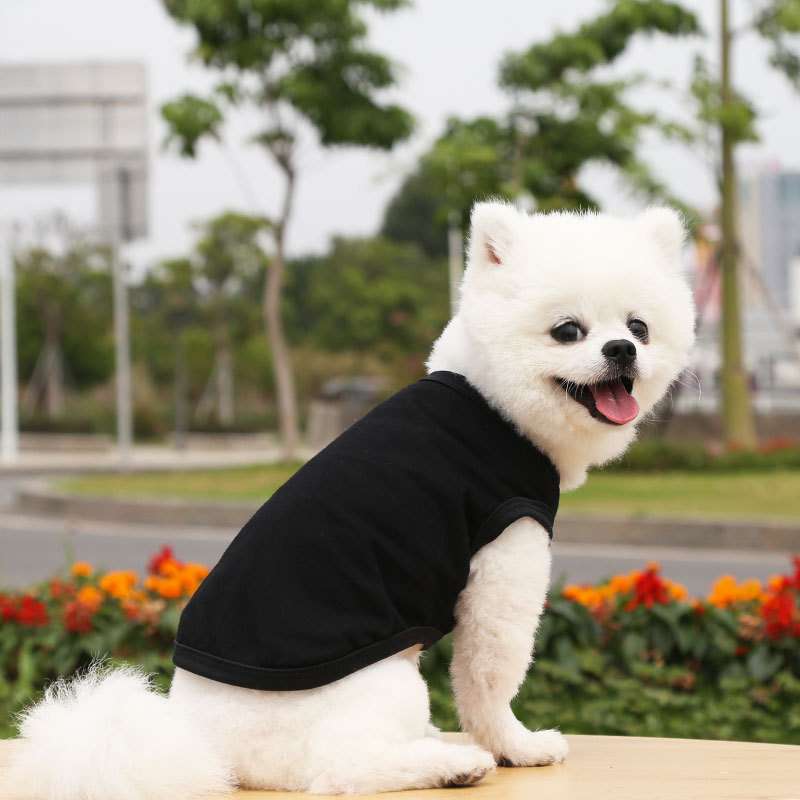 犬服  小型犬〜中型犬用Tシャツ