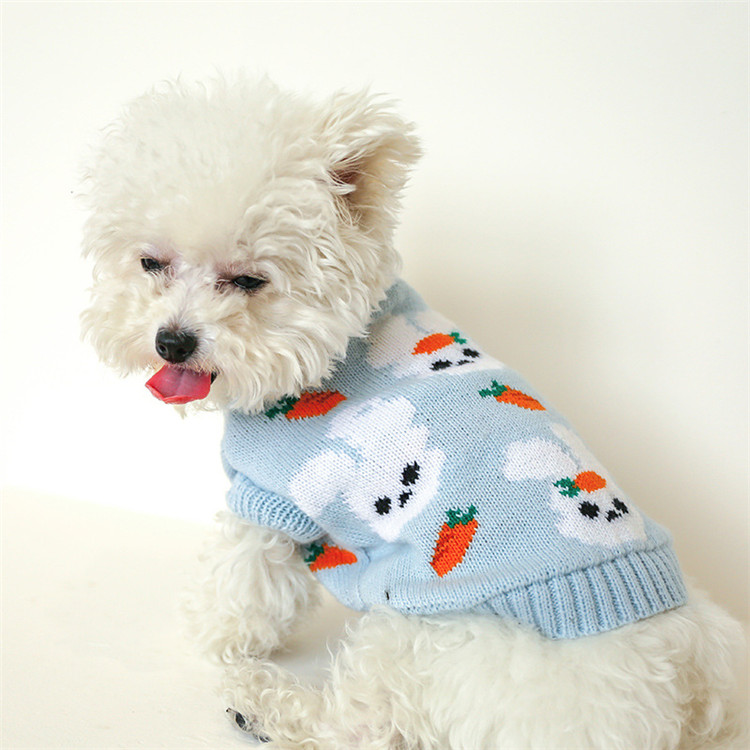 https://fulmo-img-server.com/perry-dog/0e65ef11-8a00-45dd-b983-88737ae39c89.jpg