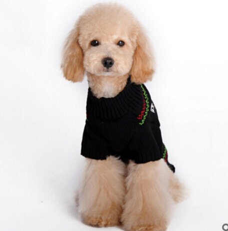 https://fulmo-img-server.com/perry-dog/0fb27c35-b374-4cf6-b846-a8f883ee4114.jpg