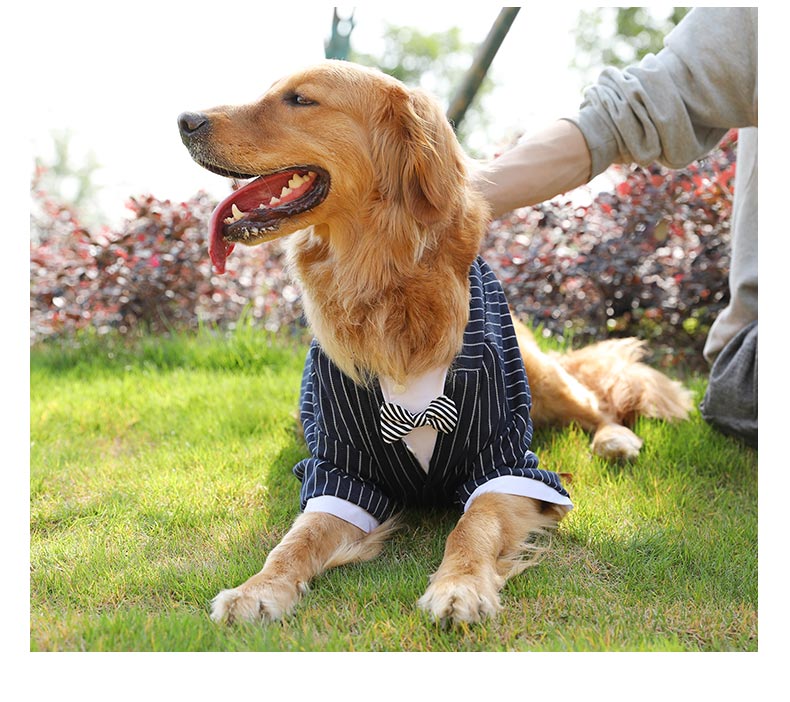 犬服 紳士風縦縞柄蝶ネクタイ付き犬用フォーマルコート