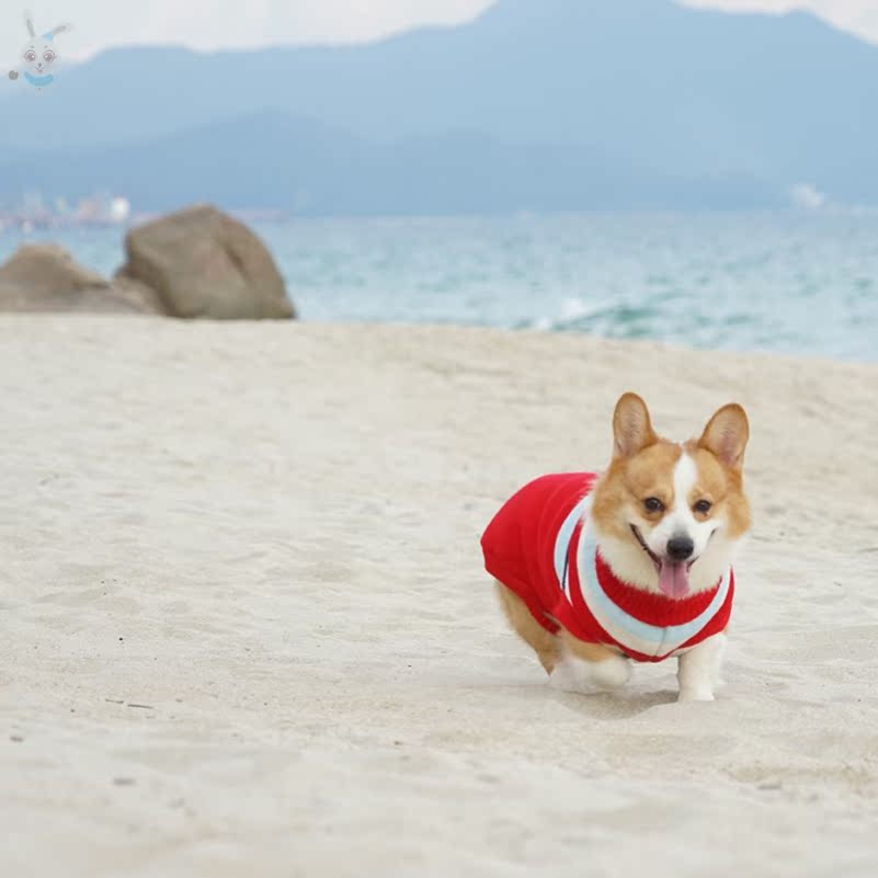 犬服 北欧風ノルディック柄ニットセーター