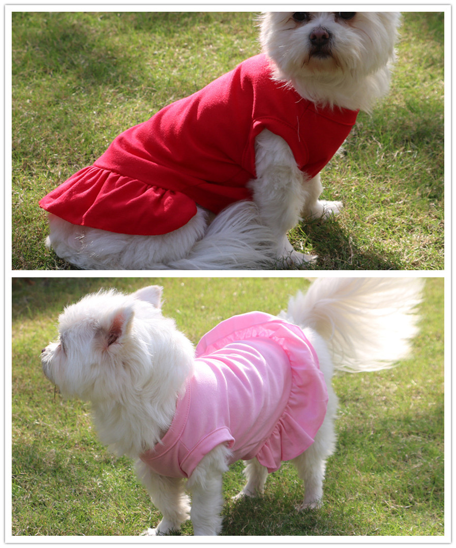 https://fulmo-img-server.com/perry-dog/10248cea-0f35-4efb-ae52-d3b7574e3996.jpg