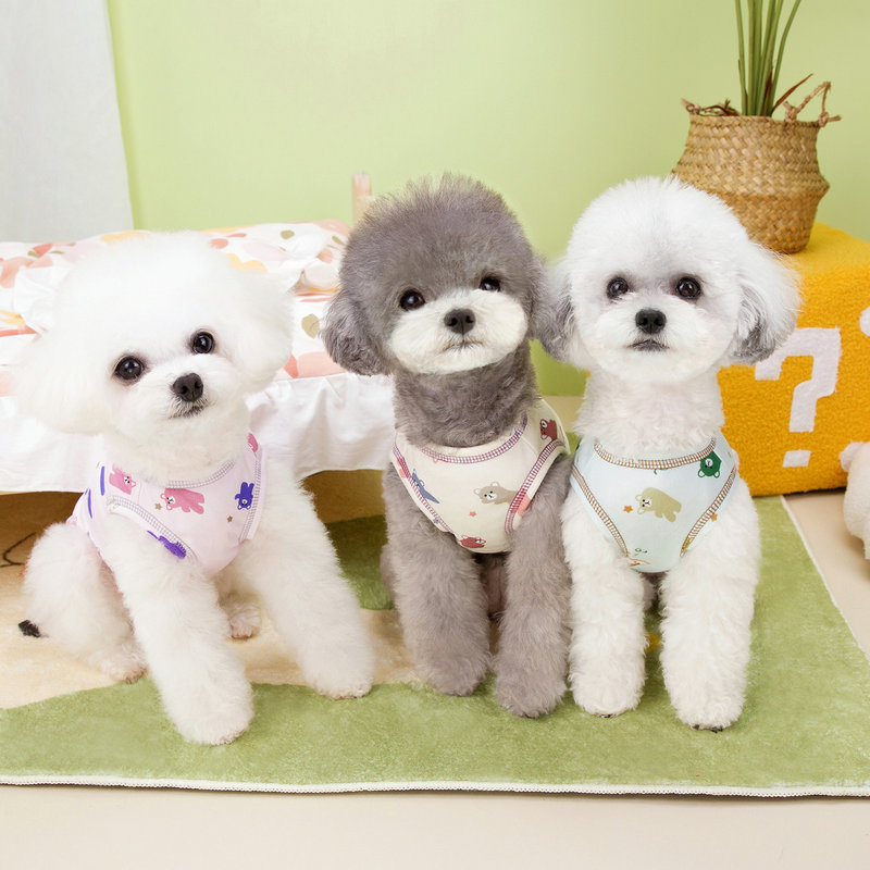 https://fulmo-img-server.com/perry-dog/103cbdd9-828e-4c4a-87a7-526cbeb897e9.jpg