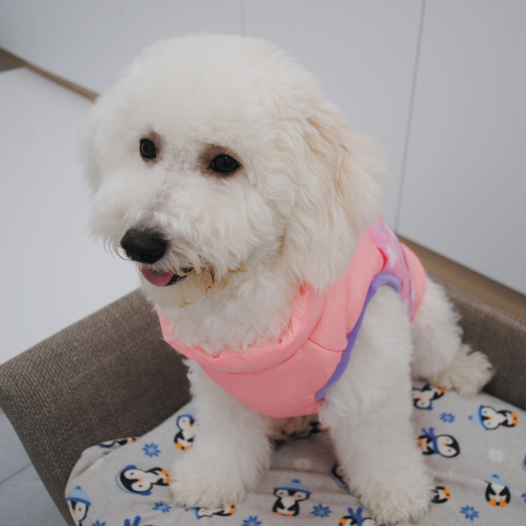 犬服 個性派デザイン中綿入り袖なし防寒ベスト